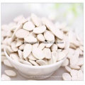Chinese New Crop Snow White Pumpkin Seeds Factory